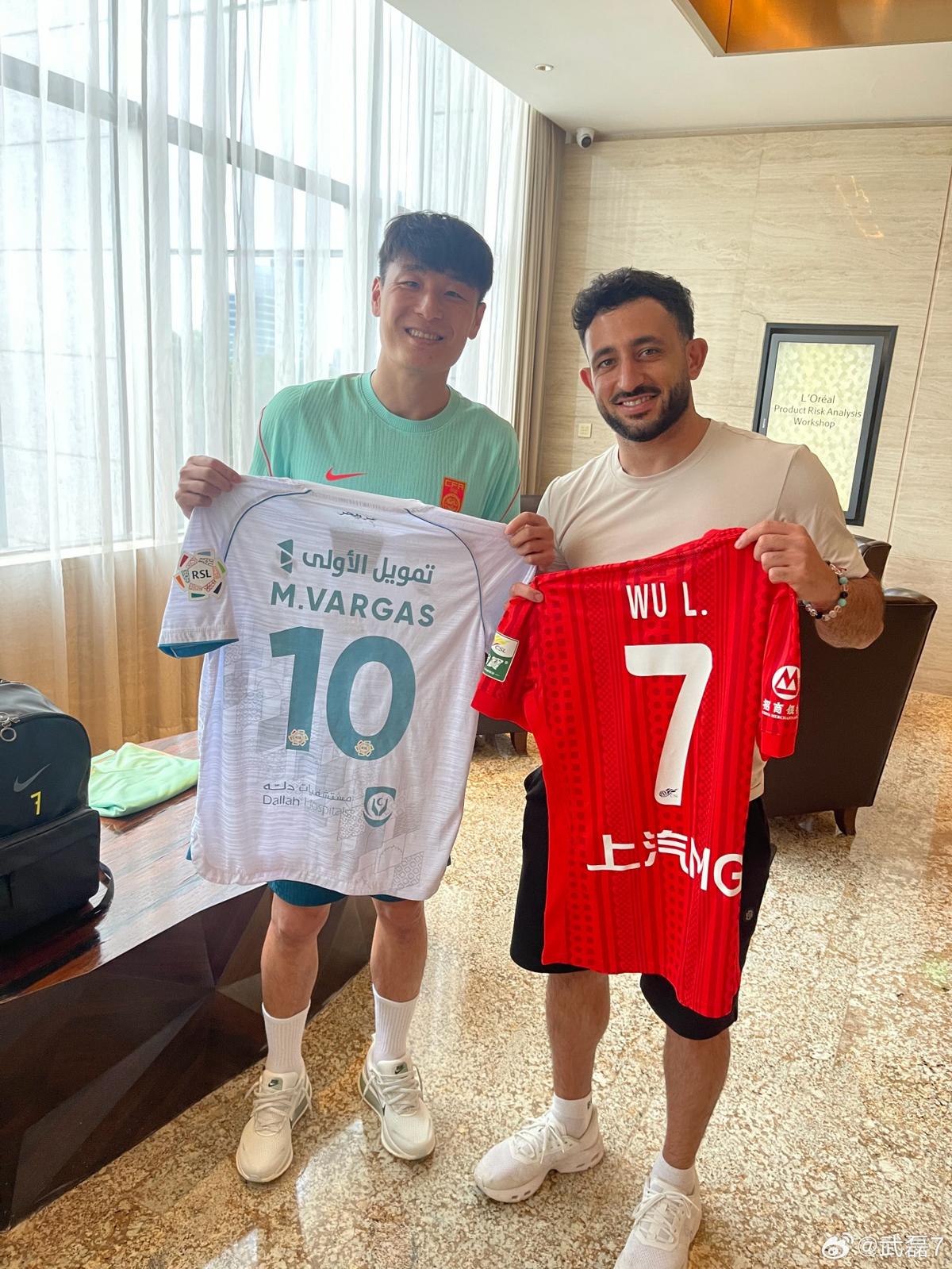 挪威主帅再谈飞猫悬案：球就是碰到了，若FIFA大方承认将更显格局